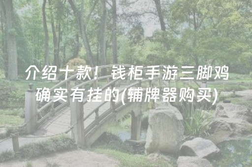 介绍十款！钱柜手游三脚鸡确实有挂的(辅牌器购买)