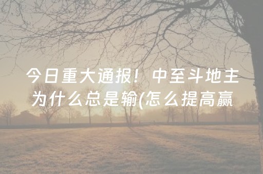 今日重大通报！中至斗地主为什么总是输(怎么提高赢牌率)