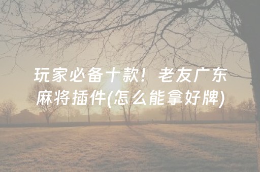 玩家必备十款！老友广东麻将插件(怎么能拿好牌)