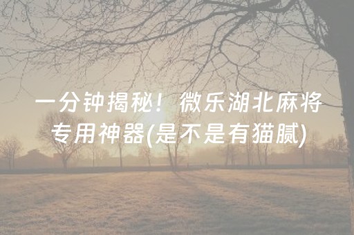 一分钟揭秘！微乐湖北麻将专用神器(是不是有猫腻)