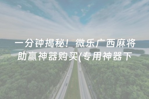 一分钟揭秘！微乐广西麻将助赢神器购买(专用神器下载)