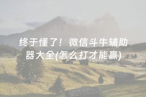 必看教程“全自动麻将机胡牌神器（助赢神器通用版）