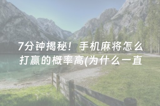 实测结果“打麻将100%能赢的神器（专用辅牌神器免安装）