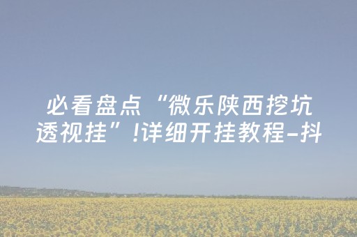 必看教程“微乐甘肃麻将如何提高胡牌（助赢神器通用版）