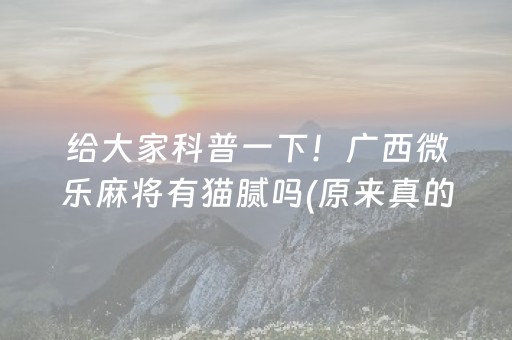 给大家科普一下！广西微乐麻将有猫腻吗(原来真的有挂)