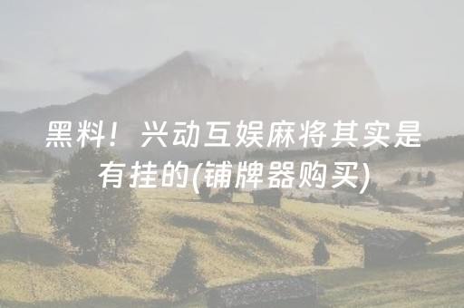 黑料！兴动互娱麻将其实是有挂的(铺牌器购买)