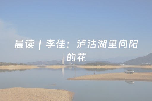 玩家必备教程“手机打麻将能赢的设备（专用辅牌神器免安装）