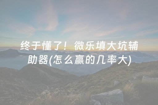 终于懂了！微乐填大坑辅助器(怎么赢的几率大)