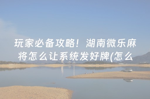 实测教程“微乐海南麻将胡牌器（助赢神器通用版）