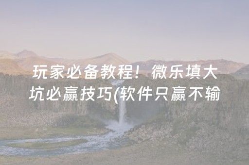 玩家必备教程！微乐填大坑必赢技巧(软件只赢不输)