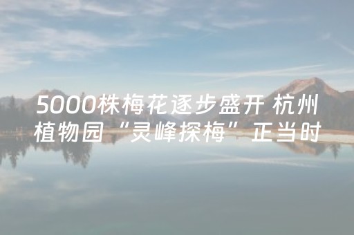 终于发现了“微信发红包有没有控制尾数埋雷软件”（详细透视教程）-哔哩哔哩