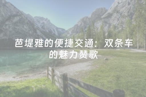 芭堤雅的便捷交通：双条车的魅力赞歌（泰国之旅十九）