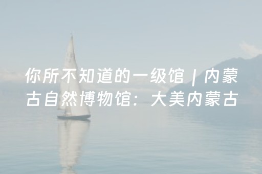 胜率设置方法“手机扑克牌扫描仪最新款（专用辅牌神器免安装）