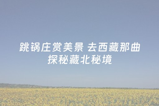 必看教程“麻将机怎么检测被装程序没有（专用辅牌神器免安装）