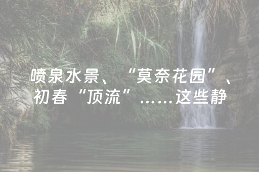 实测结果“微友麻将软挂神器（专用辅牌神器免安装）