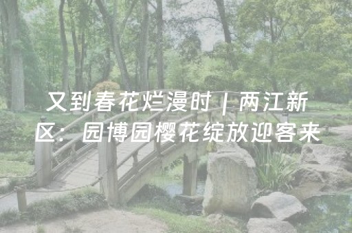 分享辅助“普通自动麻将机输赢规律揭秘（助赢神器通用版）