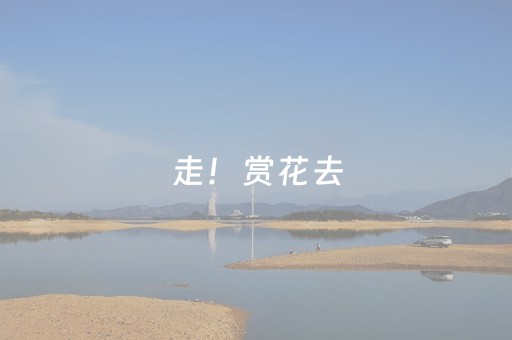 玩家实测“微乐划水麻将怎样提高胜率（专用辅牌神器免安装）