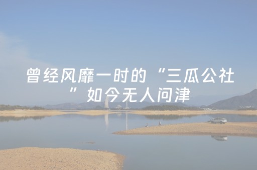 必看教程“微乐天津麻将助赢神器购买（助赢神器通用版）