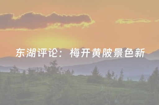 实测结果“微乐山西麻将助赢神器可试用”（详细透视教程）-哔哩哔哩