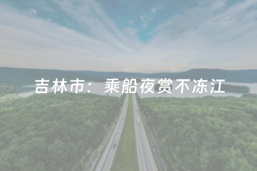 实测辅助“微乐陕西麻将控牌器（助赢神器通用版）