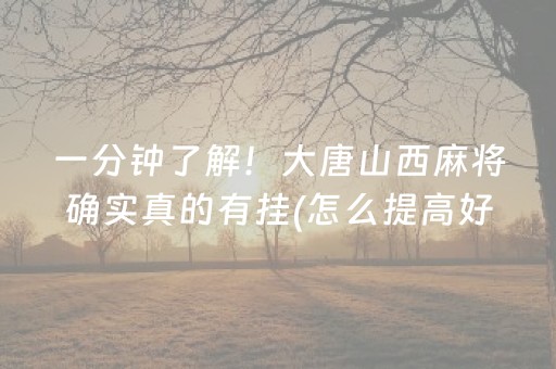 一分钟了解！大唐山西麻将确实真的有挂(怎么提高好牌率)