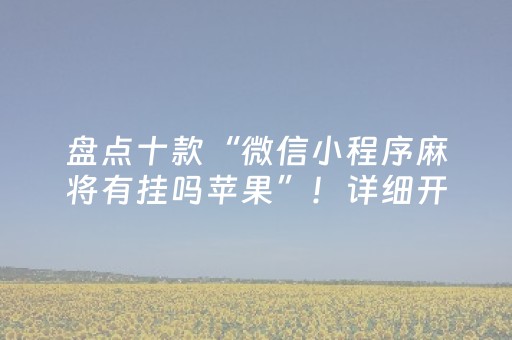 必看教程“手机十三张外挂”（详细透视教程）-哔哩哔哩