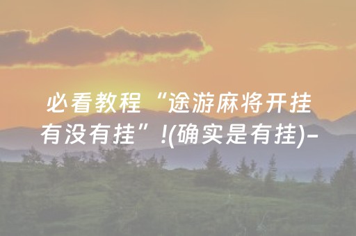 教程辅助“手机十三水辅助器（专用辅牌神器免安装）