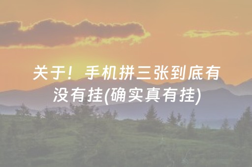 关于！手机拼三张到底有没有挂(确实真有挂)