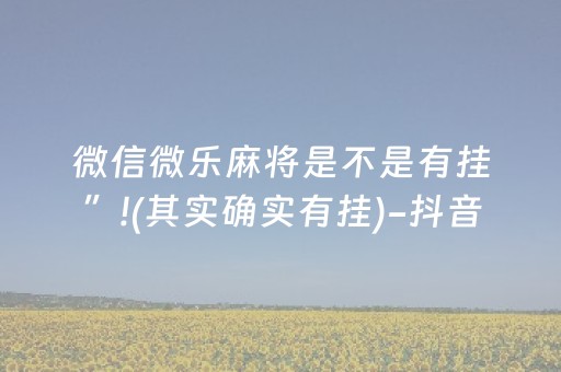 实测教程“麻将芯片控牌器免安装（助赢神器通用版）