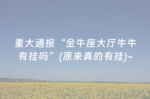 实测结果“家乡大贰辅助器（专用辅牌神器免安装）