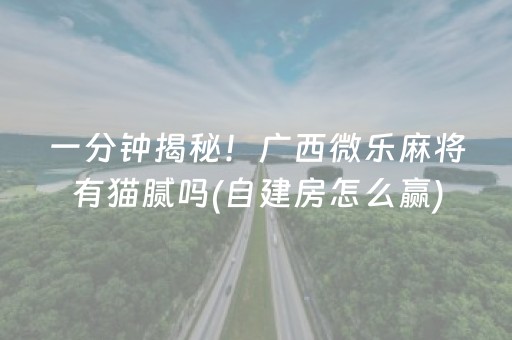 一分钟揭秘！广西微乐麻将有猫腻吗(自建房怎么赢)