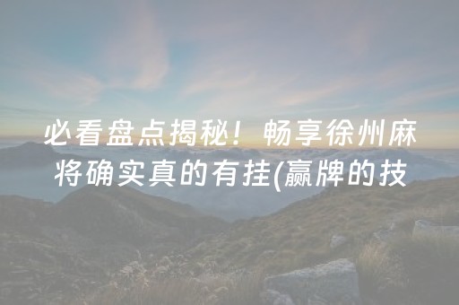 必看教程“微乐海南麻将胡牌器（专用辅牌神器免安装）