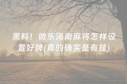 黑料！微乐海南麻将怎样设置好牌(真的确实是有挂)