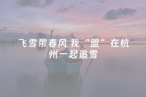 玩家必看攻略“手机麻将挂件（助赢神器通用版）