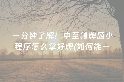 一分钟了解！中至赣牌圈小程序怎么拿好牌(如何能一直赢)