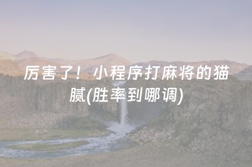 厉害了！小程序打麻将的猫腻(胜率到哪调)