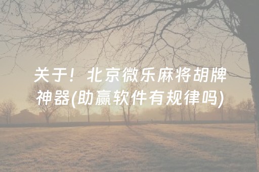我来教大家“微乐捉鸡麻将助赢软件（助赢神器通用版）