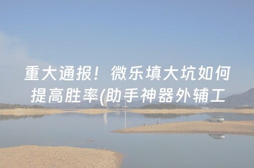 重大通报！微乐填大坑如何提高胜率(助手神器外辅工具)