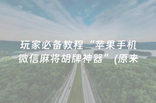 玩家必备教程“苹果手机微信麻将胡牌神器”(原来真的有挂)-抖音