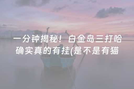 一分钟揭秘！白金岛三打哈确实真的有挂(是不是有猫腻)