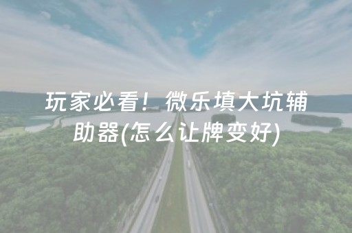 玩家必看！微乐填大坑辅助器(怎么让牌变好)