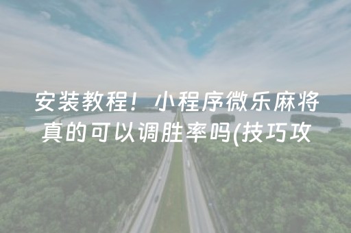 安装教程！小程序微乐麻将真的可以调胜率吗(技巧攻略怎样拿好牌)