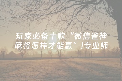 玩家必备十款“微信雀神麻将怎样才能赢”!专业师傅带你一起了解（详细教程）-抖音