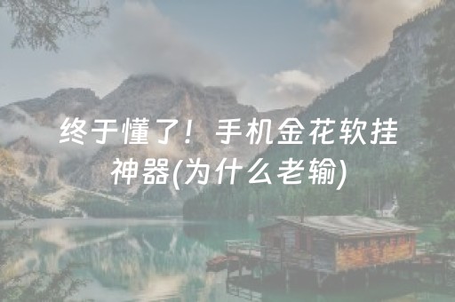 终于懂了！手机金花软挂神器(为什么老输)