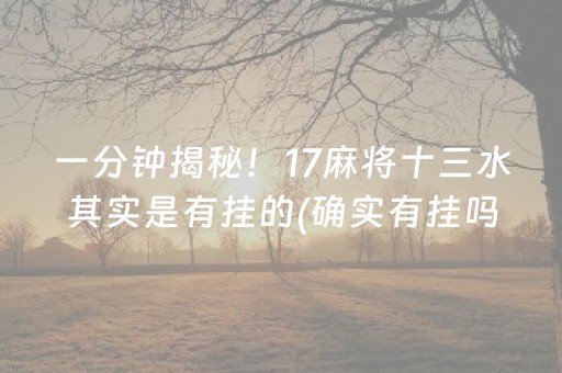 一分钟揭秘！17麻将十三水其实是有挂的(确实有挂吗)
