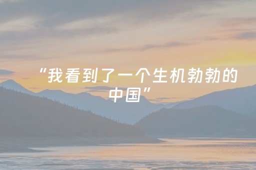 分享辅助“吉祥麻将填大坑插件（专用辅牌神器免安装）