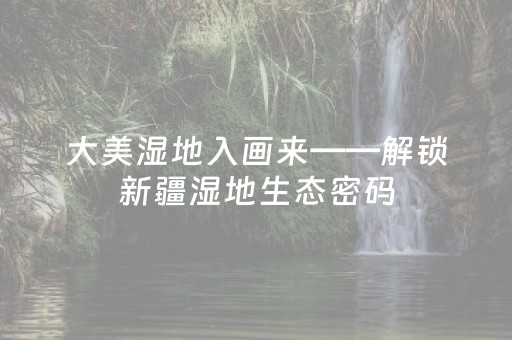 大美湿地入画来——解锁新疆湿地生态密码