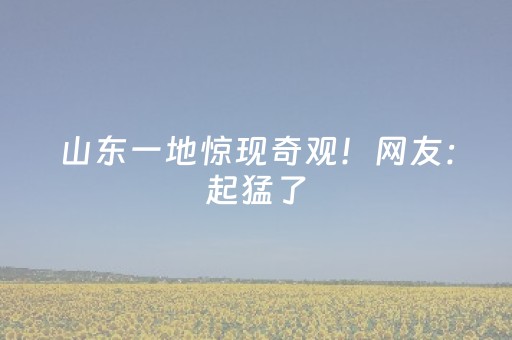 必看教程“微乐开挂神器（专用辅牌神器免安装）