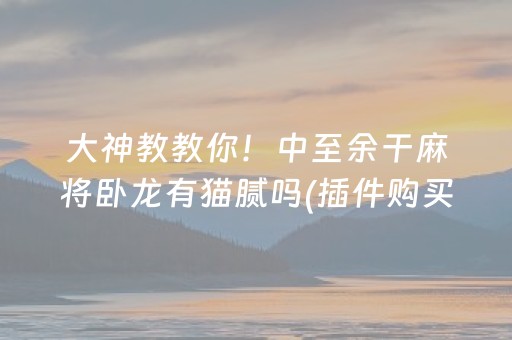 大神教教你！中至余干麻将卧龙有猫腻吗(插件购买输赢规律)