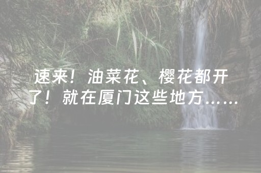 实测分享“微信金花小程序辅助器（专用辅牌神器免安装）